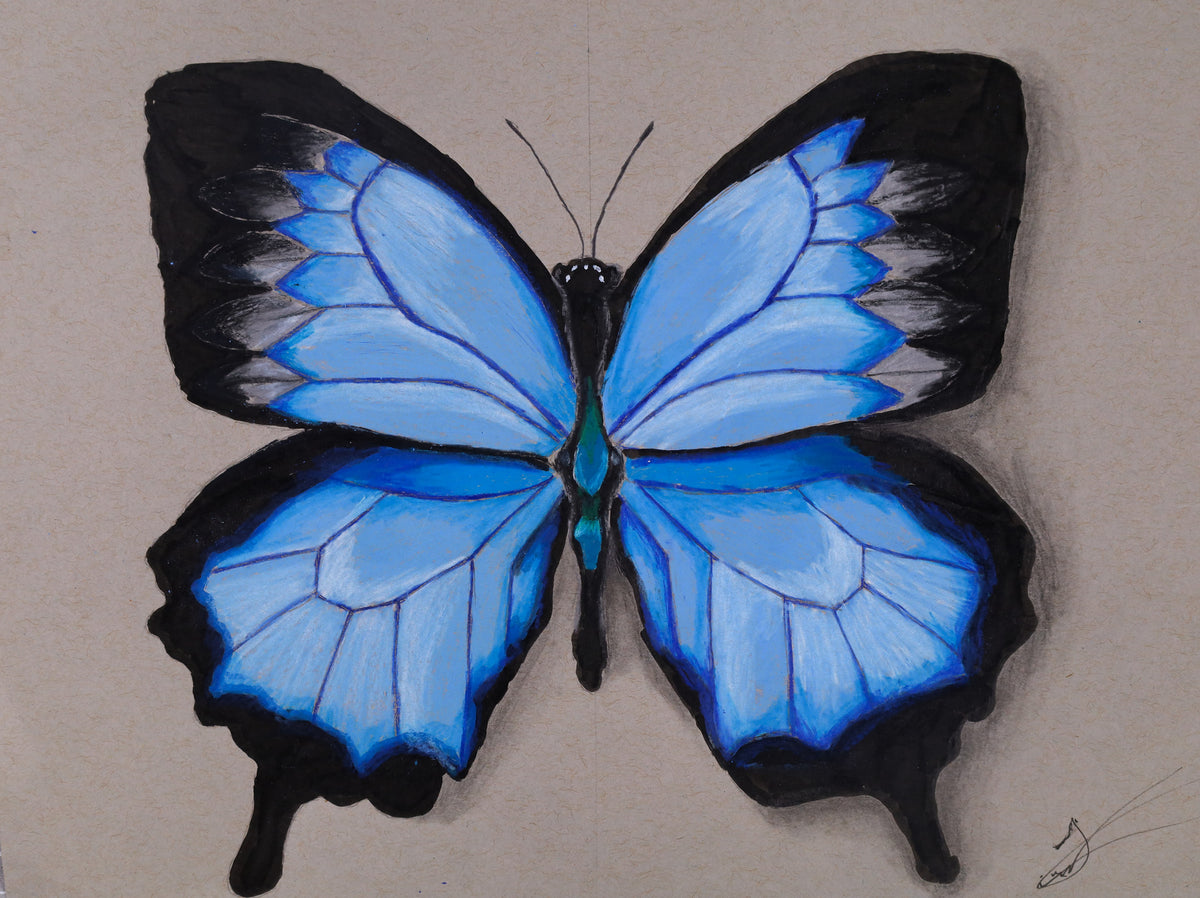 PRINT - Butterfly - Jordan Brown