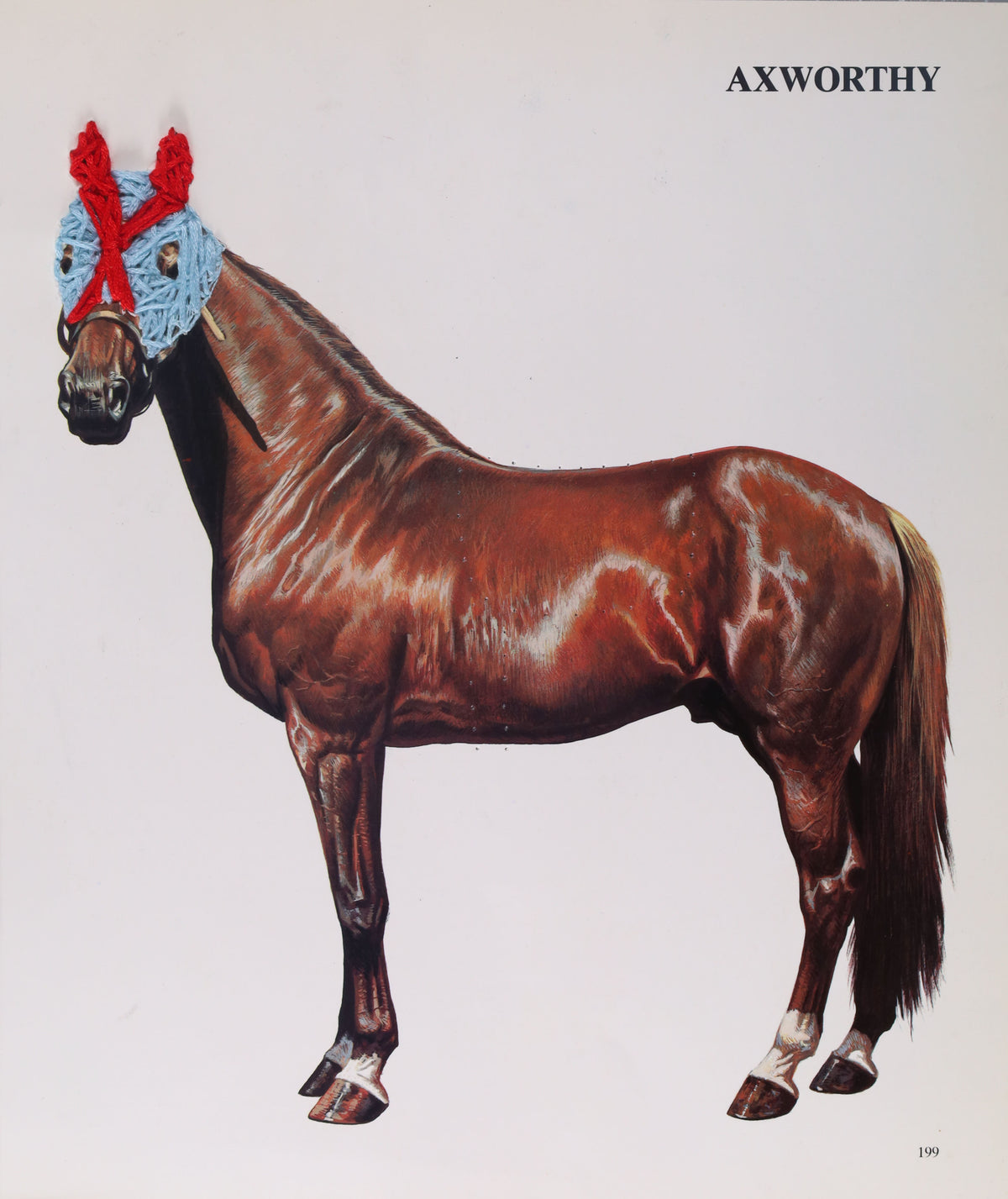 PRINT - Horse Mask - Adeline Heftka