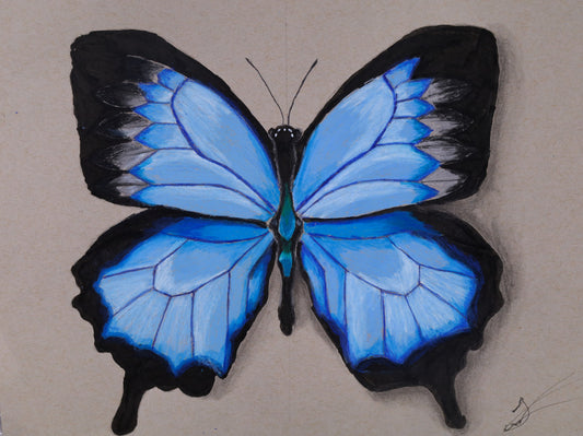 PRINT - Butterfly - Jordan Brown
