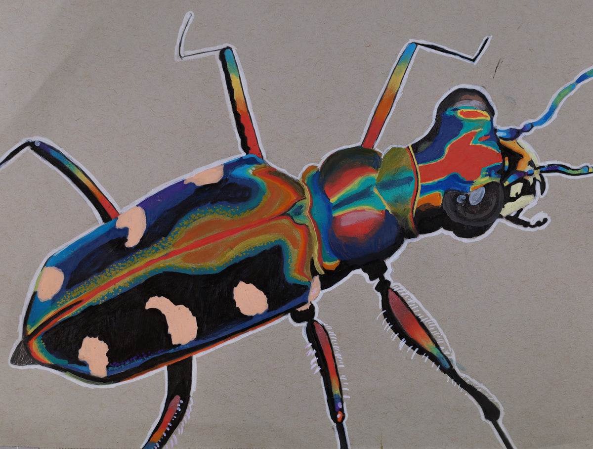 PRINT - Bug - Mya Mitchell