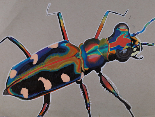 PRINT - Bug - Mya Mitchell