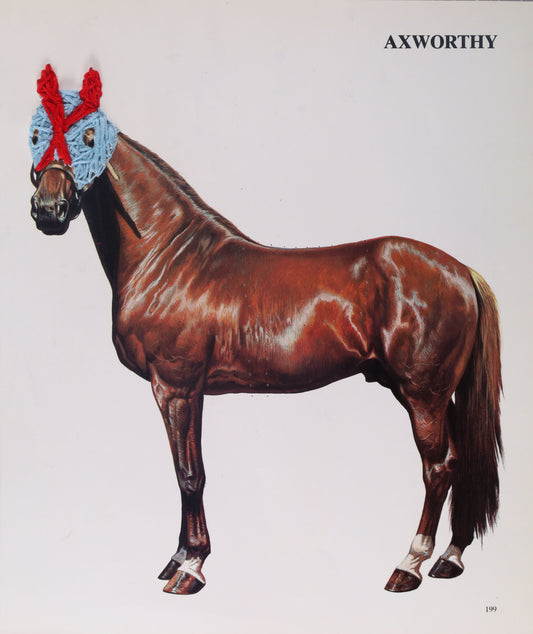 PRINT - Horse Mask - Adeline Heftka